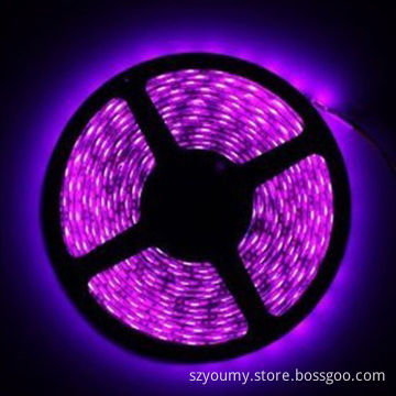 Waterproof 5M SMD 3528 Pink 60-LED/m 12V DC Flexible Strip LightsNew